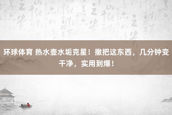 环球体育 热水壶水垢克星！撒把这东西，几分钟变干净，实用到爆！