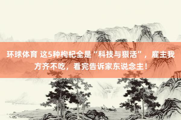 环球体育 这5种枸杞全是“科技与狠活”，雇主我方齐不吃，看完告诉家东说念主！