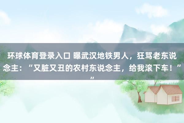 环球体育登录入口 曝武汉地铁男人，狂骂老东说念主：“又脏又丑的农村东说念主，给我滚下车！”