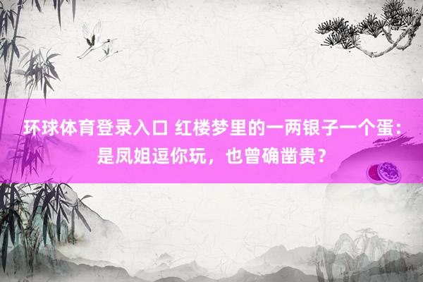 环球体育登录入口 红楼梦里的一两银子一个蛋：是凤姐逗你玩，也曾确凿贵？