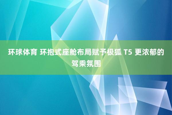 环球体育 环抱式座舱布局赋予极狐 T5 更浓郁的驾乘氛围