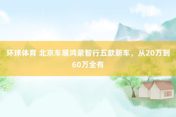 环球体育 北京车展鸿蒙智行五款新车，从20万到60万全有
