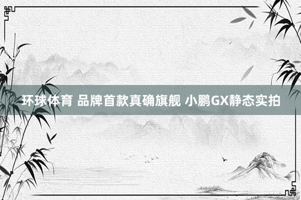 环球体育 品牌首款真确旗舰 小鹏GX静态实拍