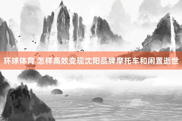 环球体育 怎样高效变现沈阳品牌摩托车和闲置逝世