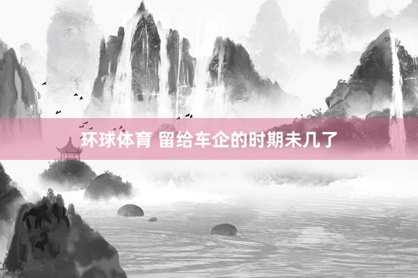 环球体育 留给车企的时期未几了