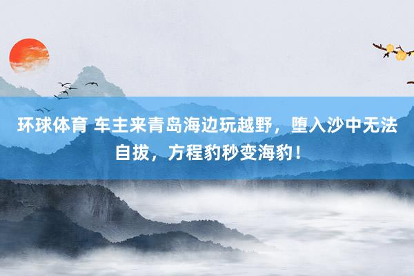 环球体育 车主来青岛海边玩越野，堕入沙中无法自拔，方程豹秒变海豹！