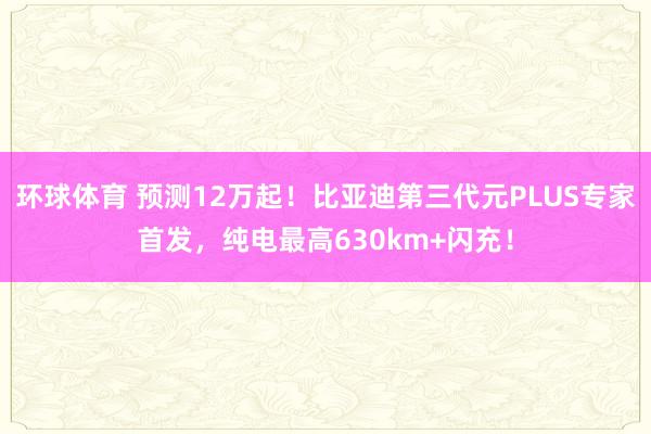 环球体育 预测12万起！比亚迪第三代元PLUS专家首发，纯电最高630km+闪充！